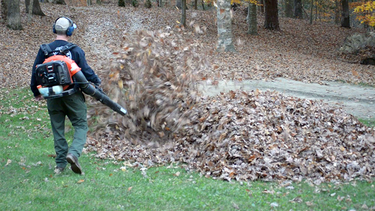 a-father-blowing-leaves-falls-over-when-