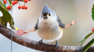 A Hilarious Compilation of Real Birds With Wacky Arms