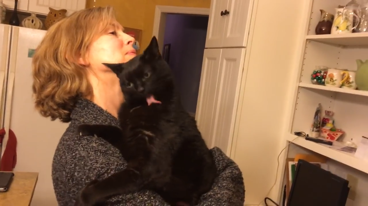 angel-cat-licks-fur.png