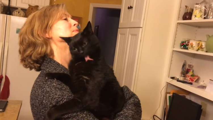 Angel Cat Licks Fur