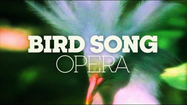 bird-song-opera.jpg