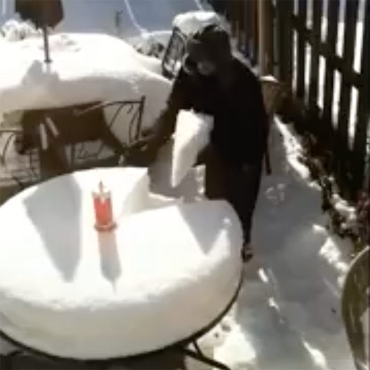 canadian-dad-uses-an-old-sword-to-cut-a-