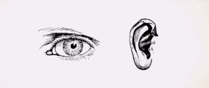 eyes ears
