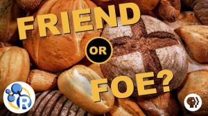 Gluten Friend or Foe