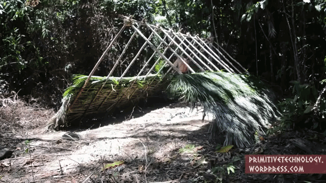 How to Build an A-Frame Hut Using Primitive Technology