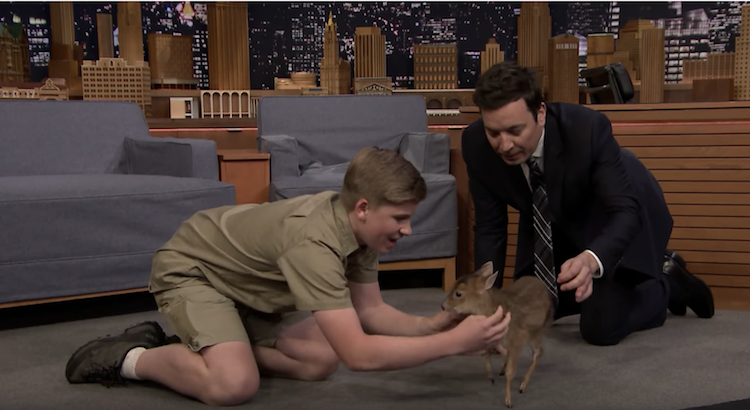 jimmy-fallon-robert-irwin-baby-deer.png