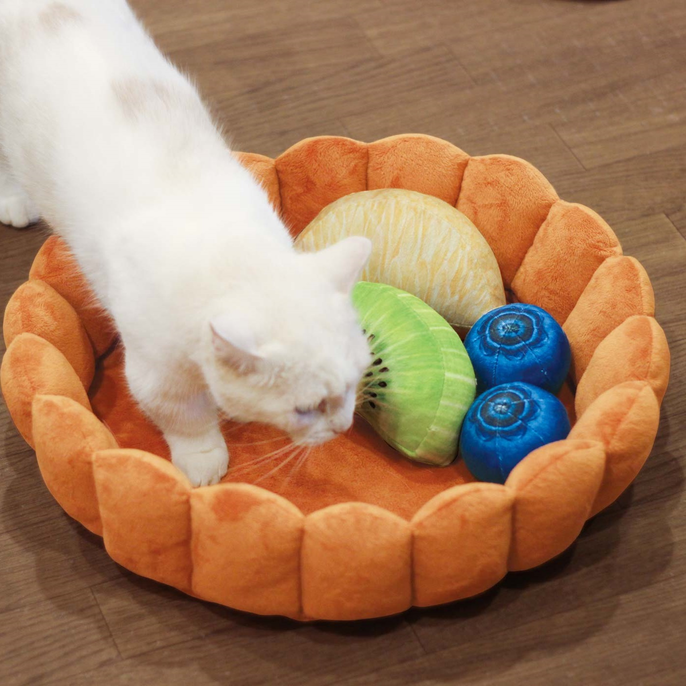 tart cat bed