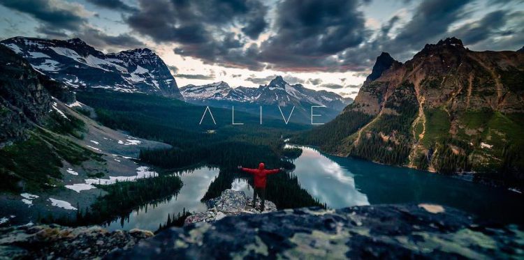 alive-canada-e1517604519635.jpg