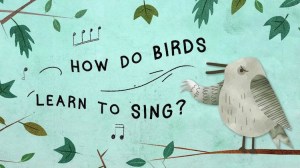 How Do Birds Learn to Sing
