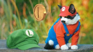 Super Mario Cat and Human Luigi Set Out to Save the Princess in 'Super Mario Cat Bros.'