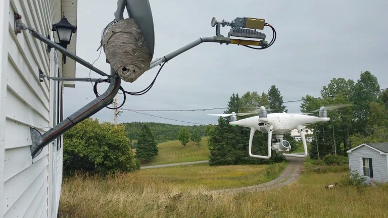 A Drone Hovers Next to a Bald-Faced Hornet Nest