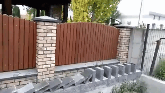 A Man Building a Wall Sets Up a Row of Stone Slabs That Almost All Fall Into Place Like Dominoes