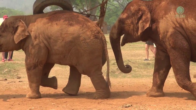 dok-mai-and-calf-playground-lunch.jpg