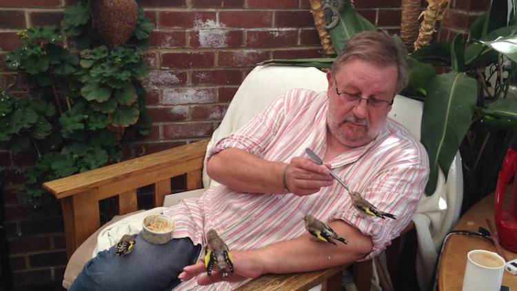 man-feeding-baby-goldfinches.jpg