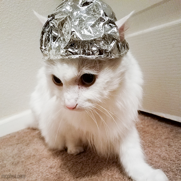 Molly the Cat Tin Foil Hat