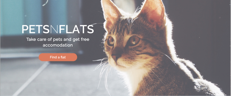 pets-in-flats-e1521733916308.png