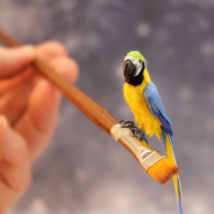 Posable Miniature Parrot