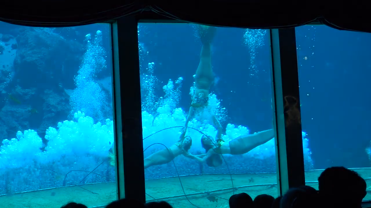 weeki-wachee-mermaid-show.png