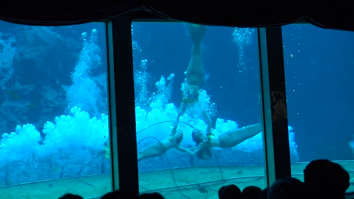 Weeki Wachee Mermaid Show