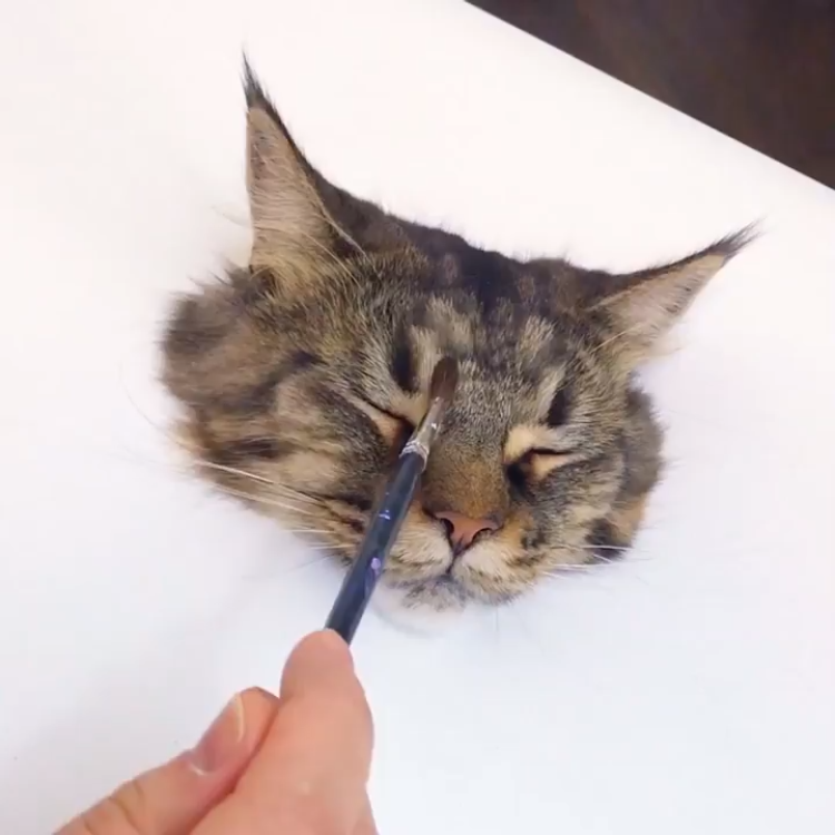 An Extremely Realistic 3D  Painting of a Cat