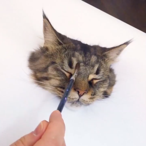 3D Cat