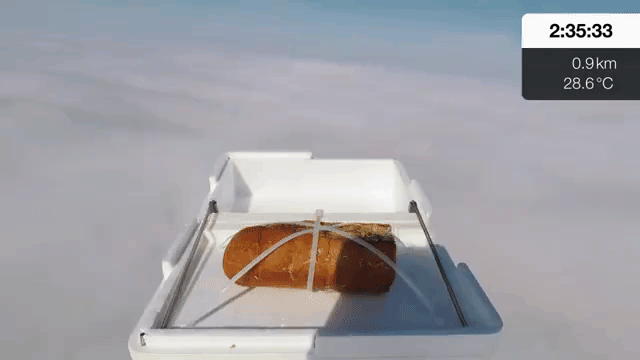 Garlic Bread Box Snapping Shut