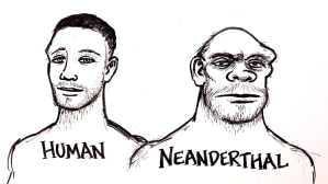 Human Neanderthal
