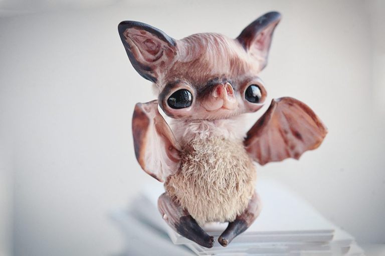 Cute Bat