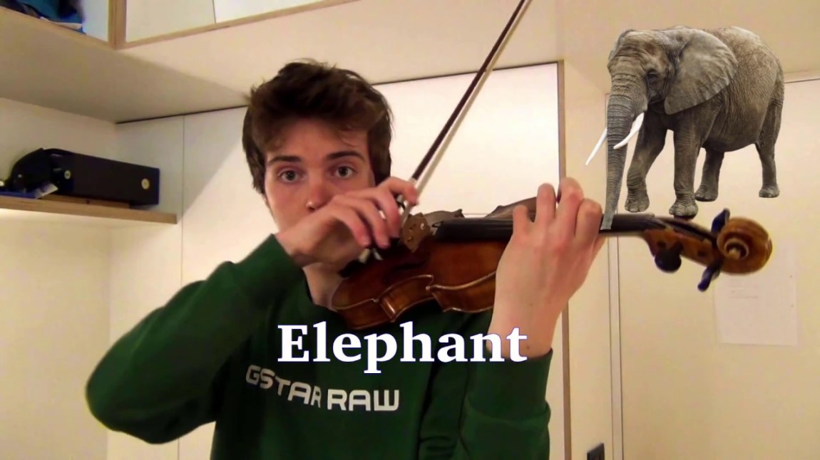 Elephant on Violin