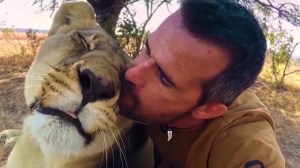 Kissing Lion