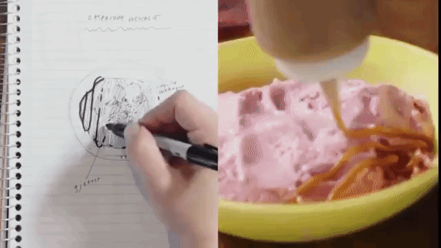 Raspberry Tart Sketch