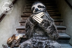 Realistic Three-Toed Sloth Costume