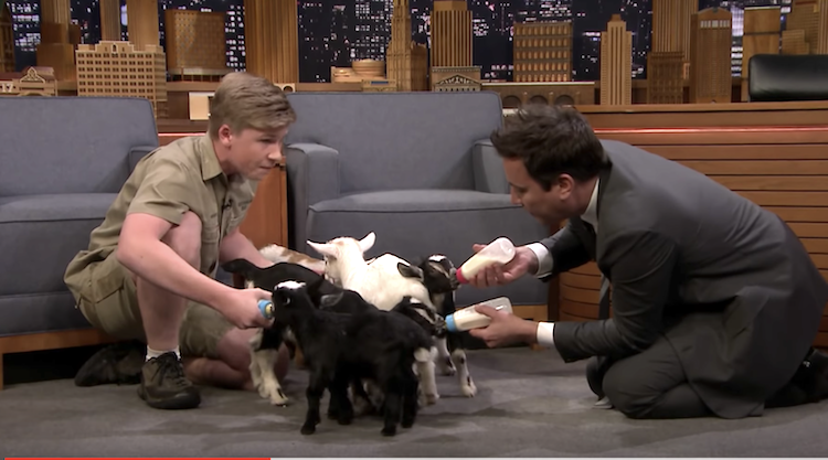 Robert Irwin Jimmy Fallon Feed Baby Goats