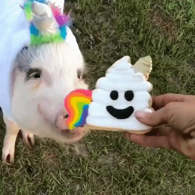 Unicorn Poop Cookie