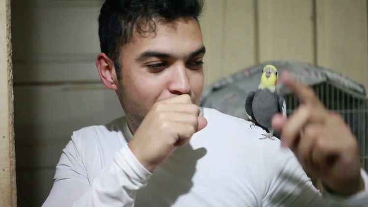 Beat-Boxing-Bird.jpg