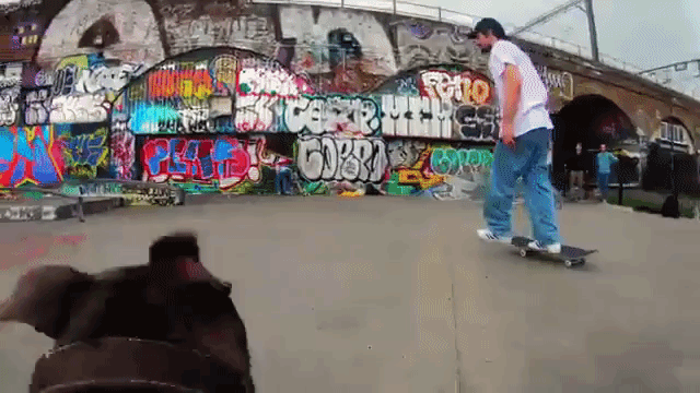 Dog Follows Skating Human on Skateboard GoPro