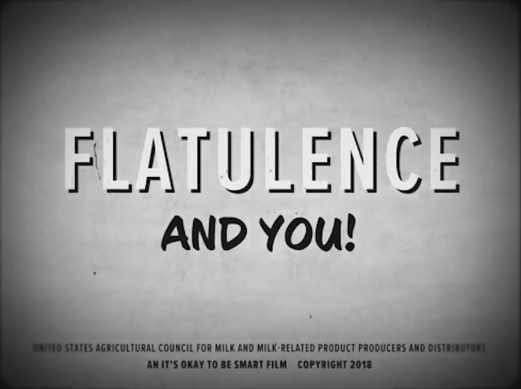 Flatulence and You