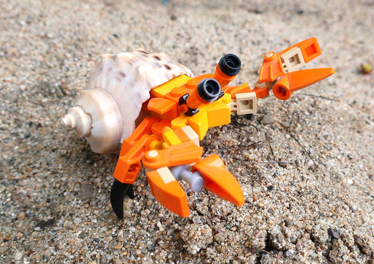 LEGO Hermit Crab With a Real Shell