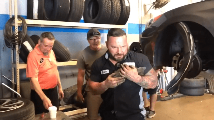 Mechanic and Kitten
