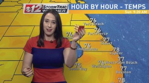 Meteorologist Solves Rubik's Cube While Giving The Weather Report