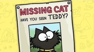 Missing Cat Teddy Simons Cat