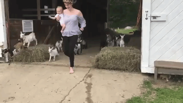 Running of the Goats 2018