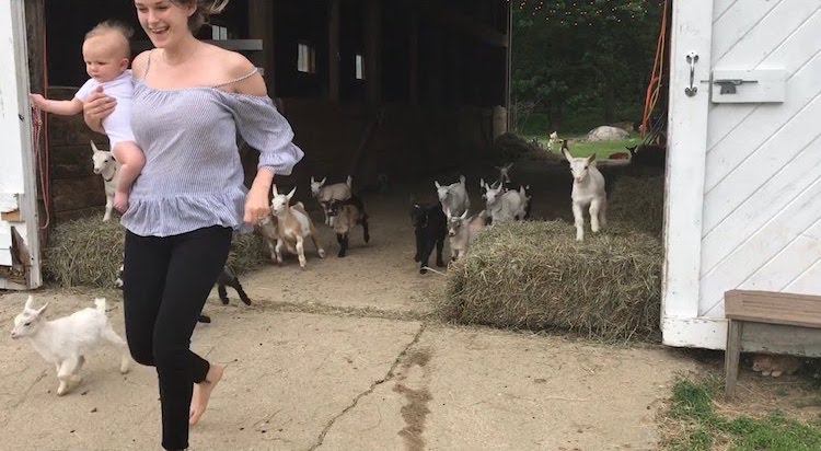 Running of the Goats 2018