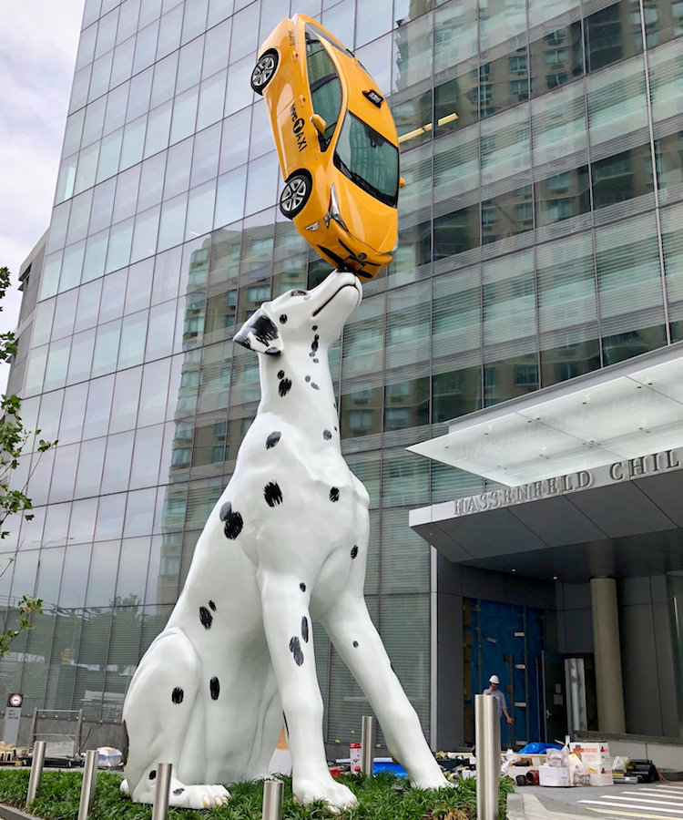 Spot! Dalmatian Balancing Taxi