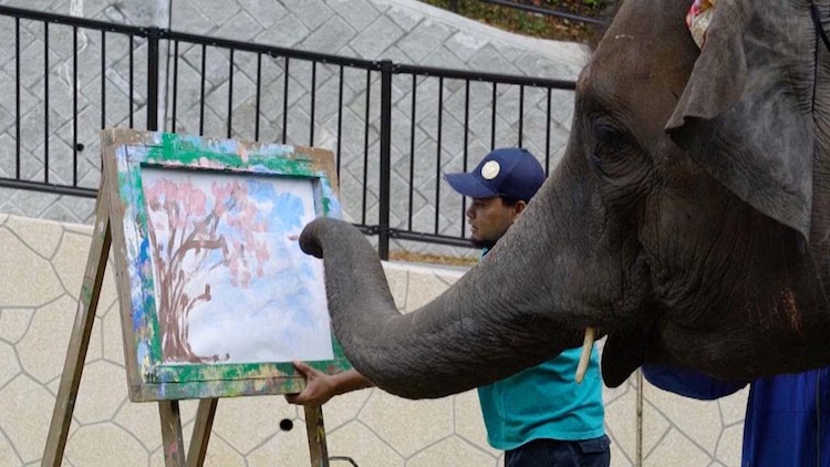 Yumeka Painting Elephant