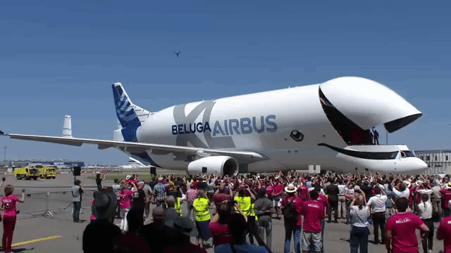 Beluga XL Airbus Cargo Plane