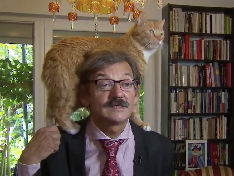 Cat on Shoulders during interview