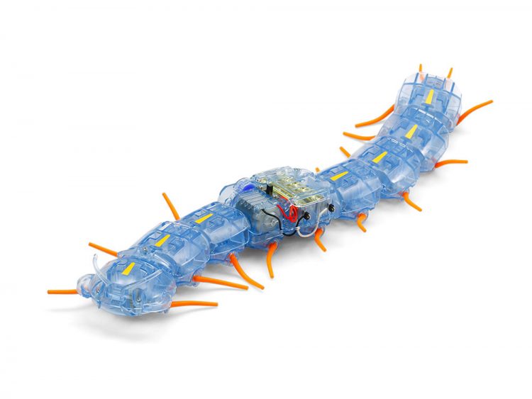 A Slithering Centipede Robot Kit With a Segmented Body and 