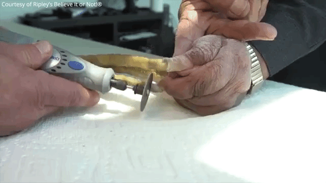 Cutting World's Longest Nails