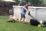 lawn mower slip and slide